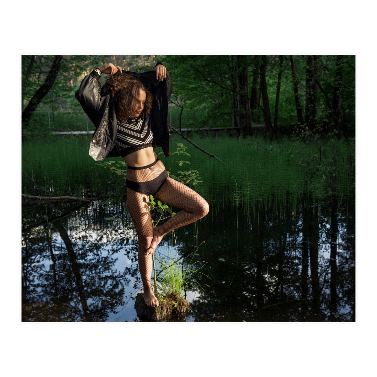 Swamp Swan (Print Only)