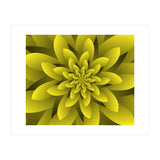 Spring Floral (Print Only) thumbnail
