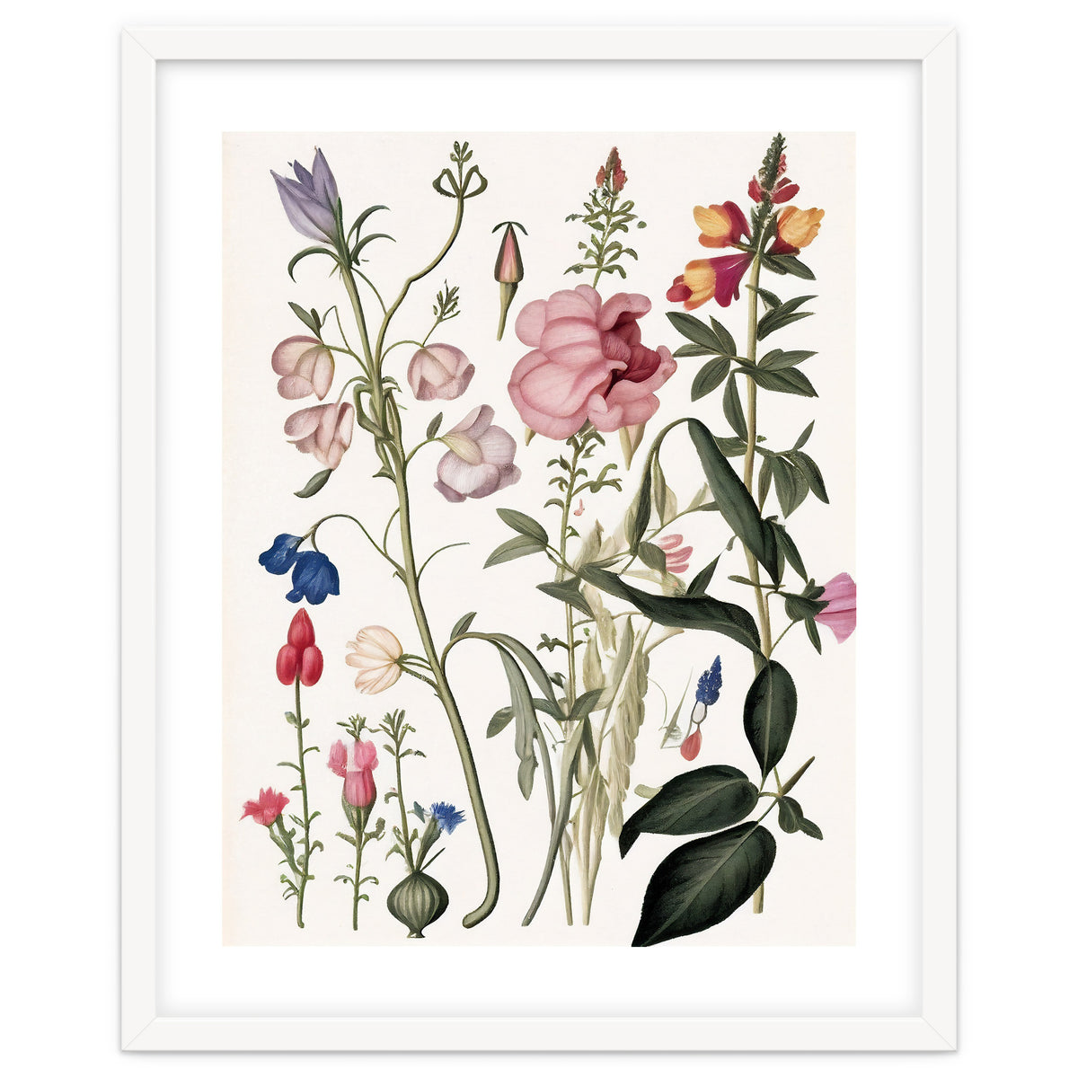 Flowers Botanical Vintage Illustration