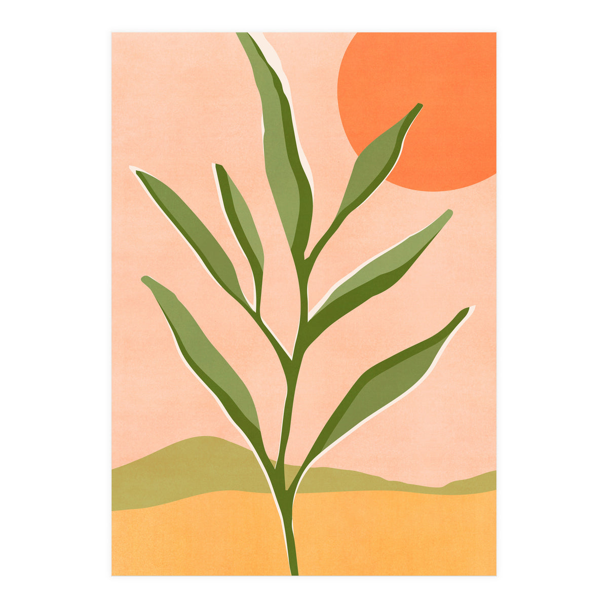 The Sun and The Succulent (Print Only)