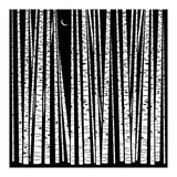 See the Forest... (Print Only) thumbnail