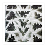 Dragonflies (Print Only) thumbnail