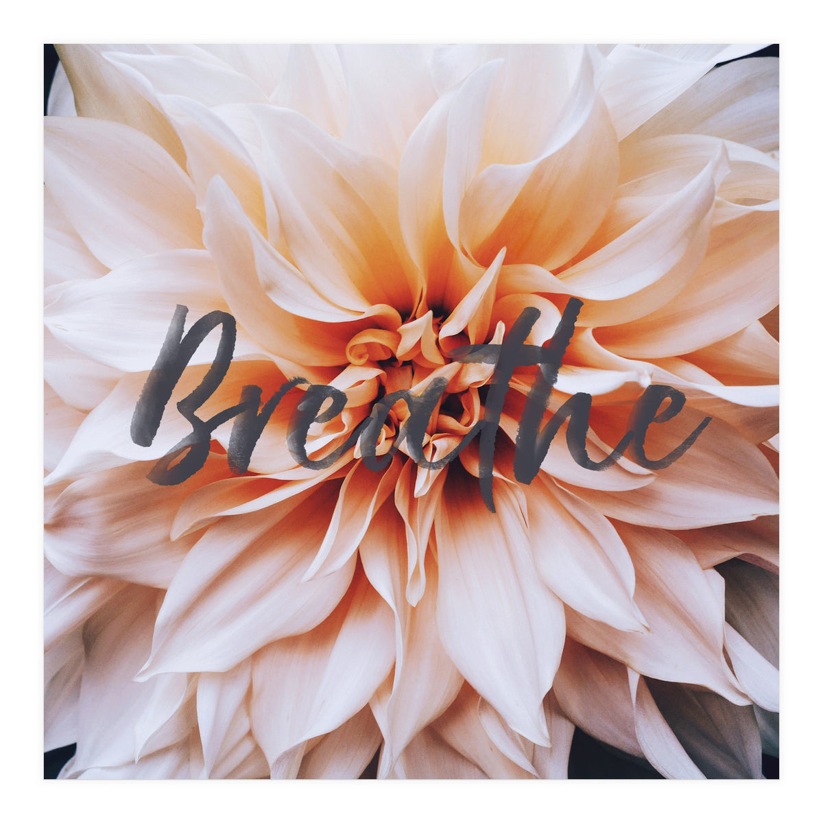 Breathe  (Print Only)
