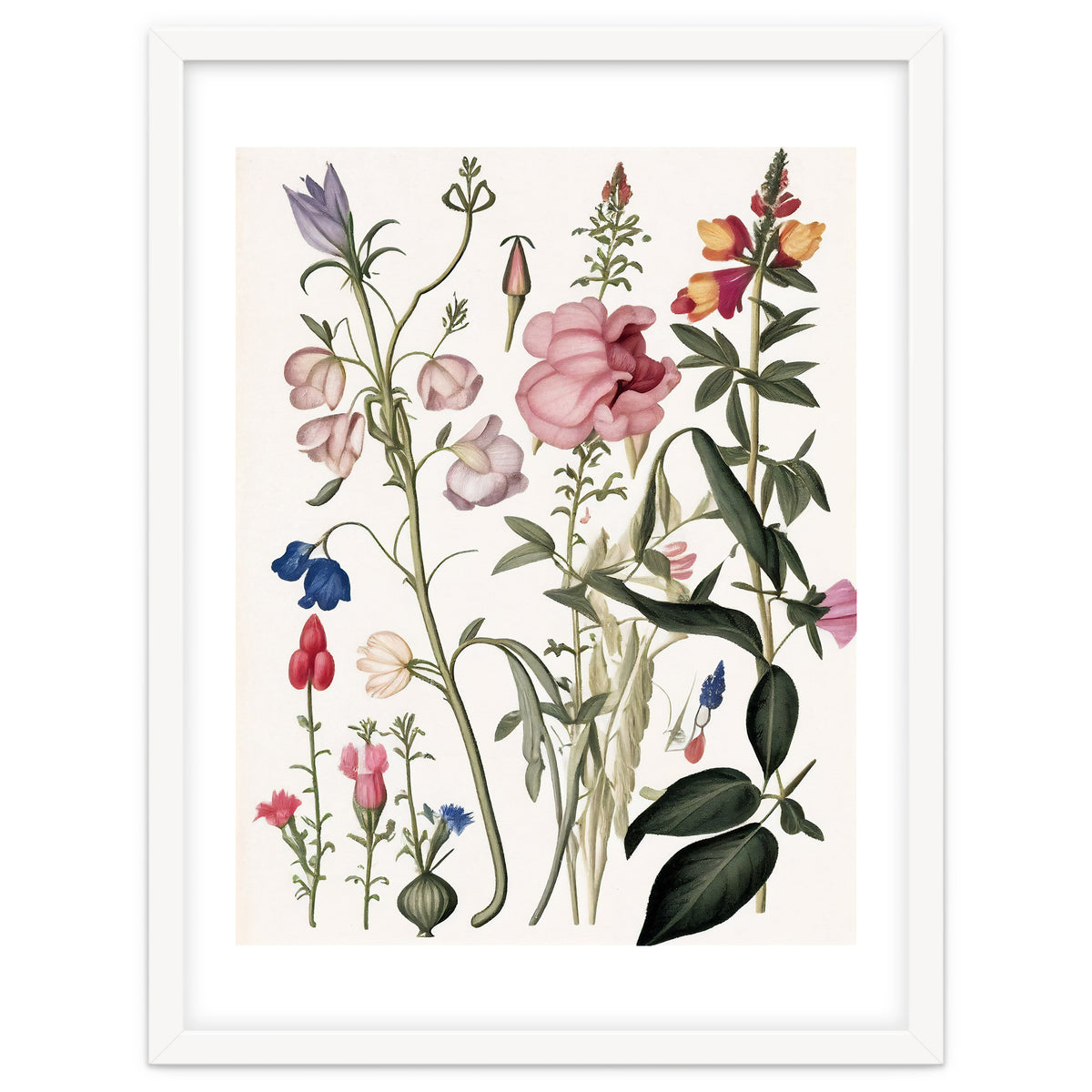 Flowers Botanical Vintage Illustration