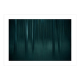 transience  (Print Only) thumbnail