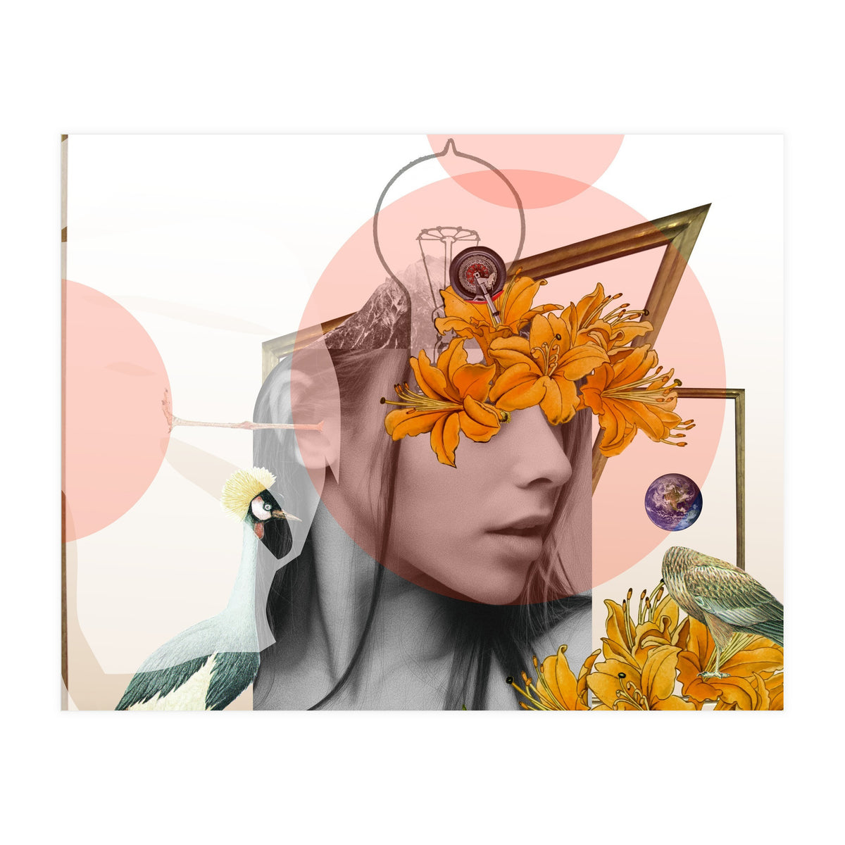 Dreamland Division · D (Print Only)