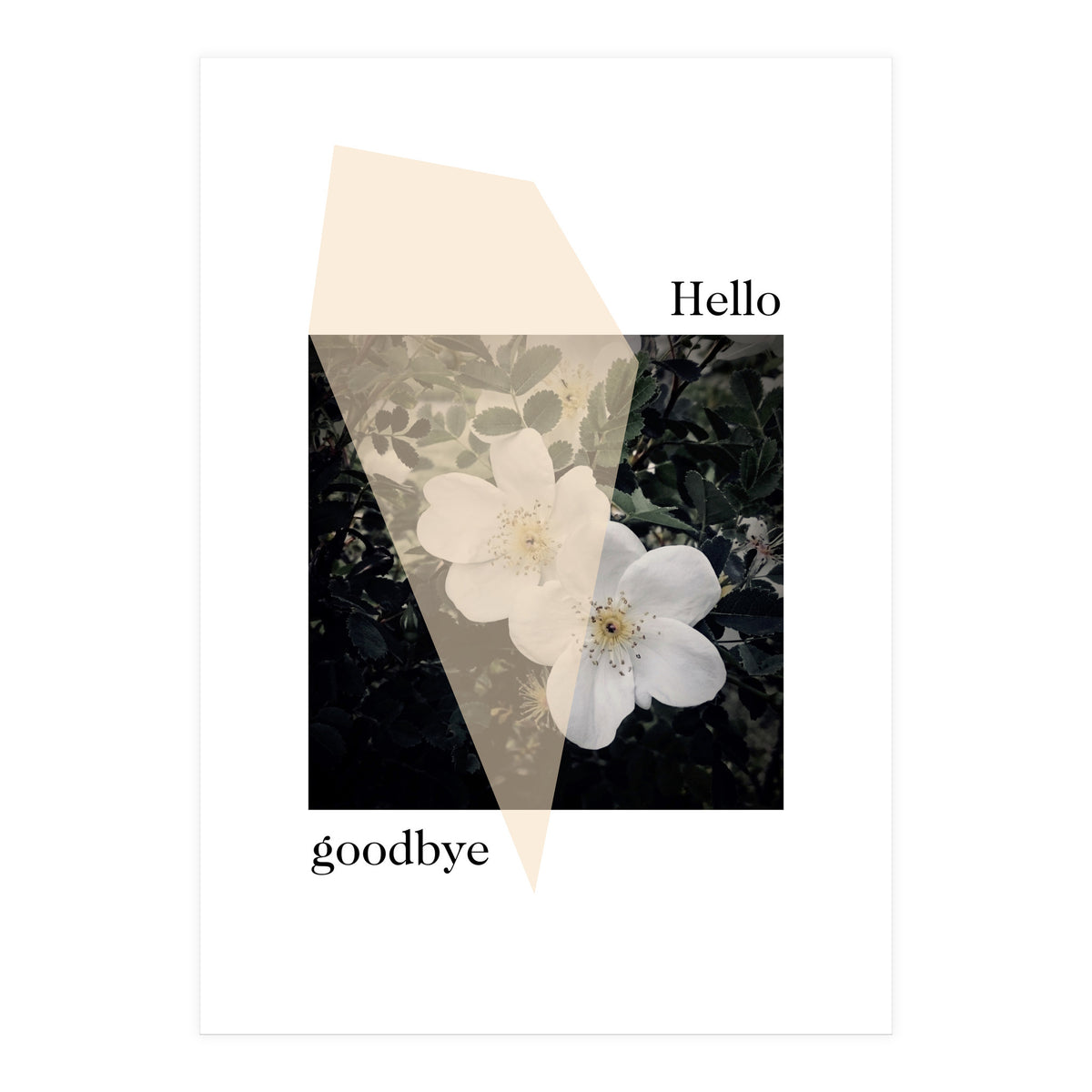 Hello goodbye  (Print Only)