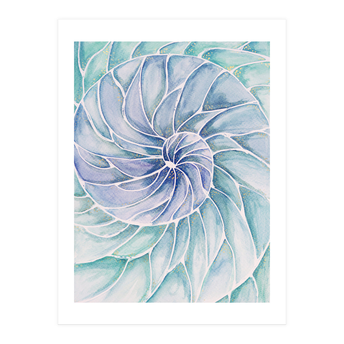 The inside of a shell (Print Only)