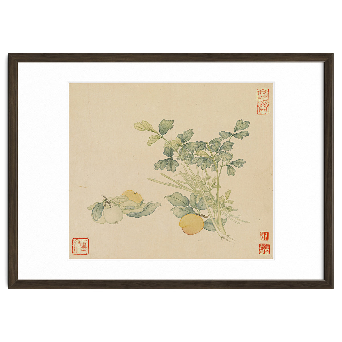 Wang Chengyu~flowers And Vegetables, Vegetables, Fruits, Plums, Apricots, Celery