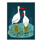 Pelicans (Print Only) thumbnail