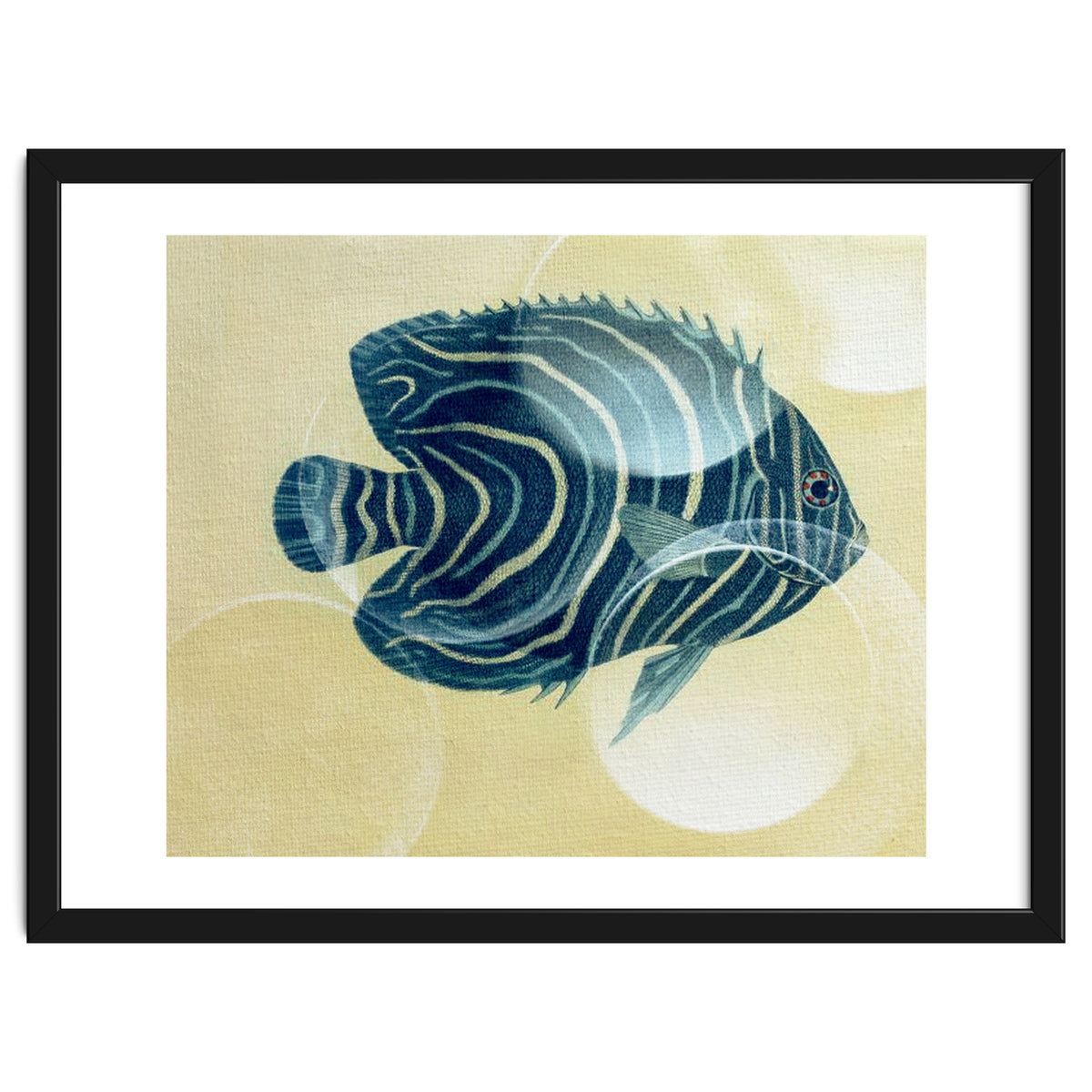 Fish Between Circles