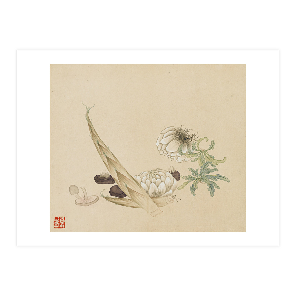 Wang Chengyu ~flowers, Vegetables, Lilies, Bamboo Shoots, Leaves, Mushrooms, Vegetables (Print Only)