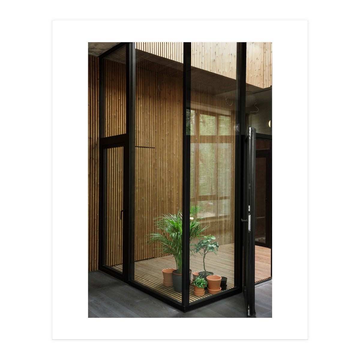 Public Place at my House (Print Only)