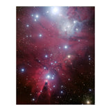The Christmas Tree Cluster (Print Only) thumbnail