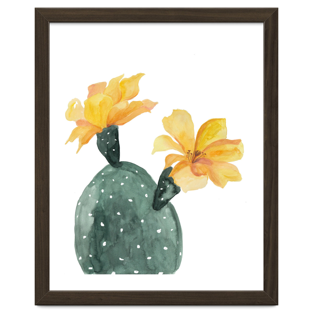 Botanical Illustration Yellow Cactus Flowers