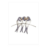 Three young swallows (Print Only) thumbnail