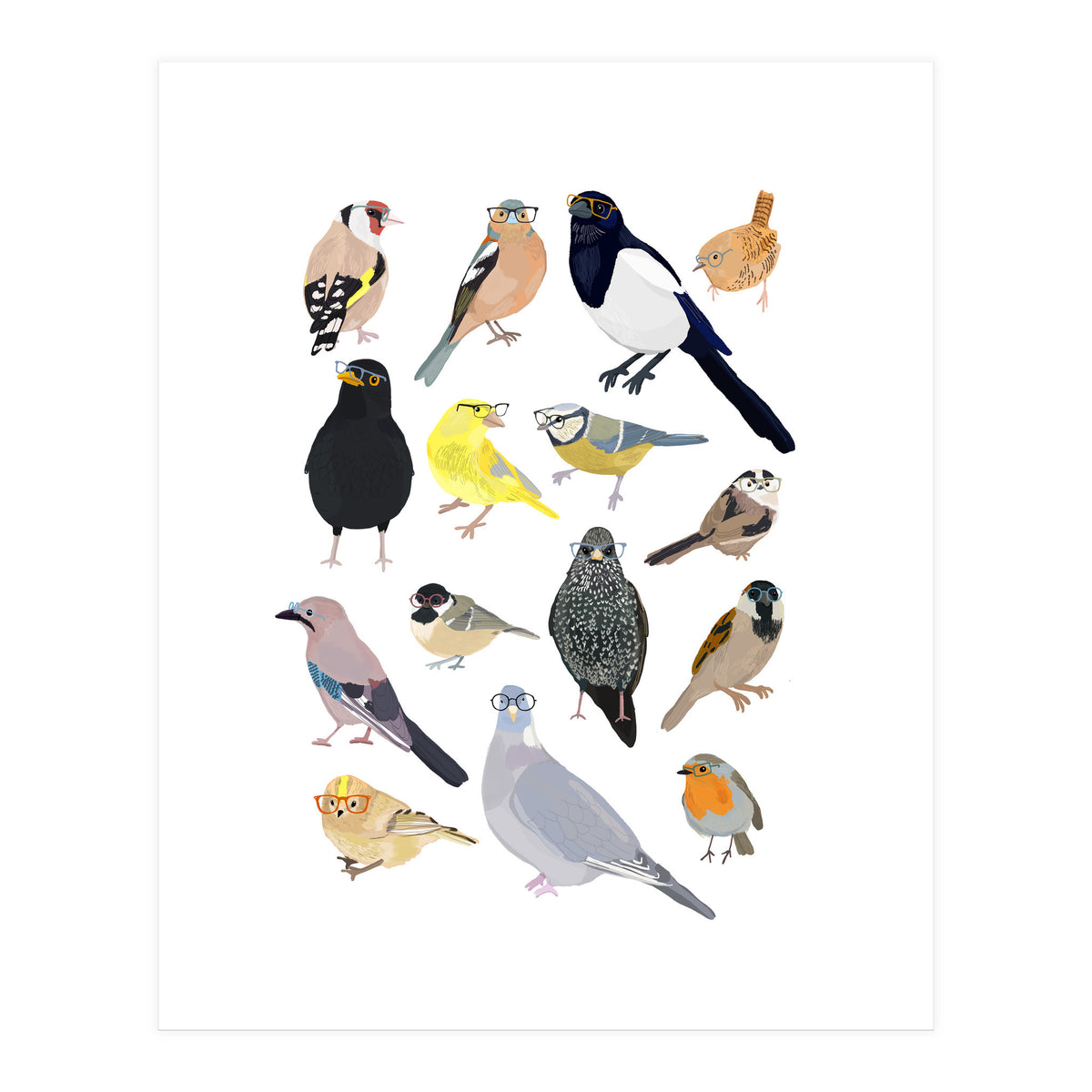 UK Birds in Glasses (Print Only)