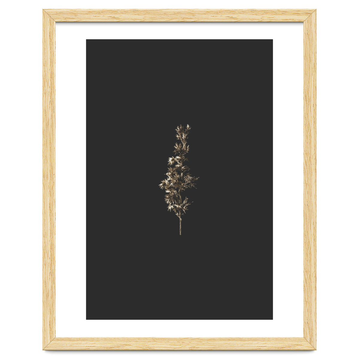 Gold Rush Botanicals