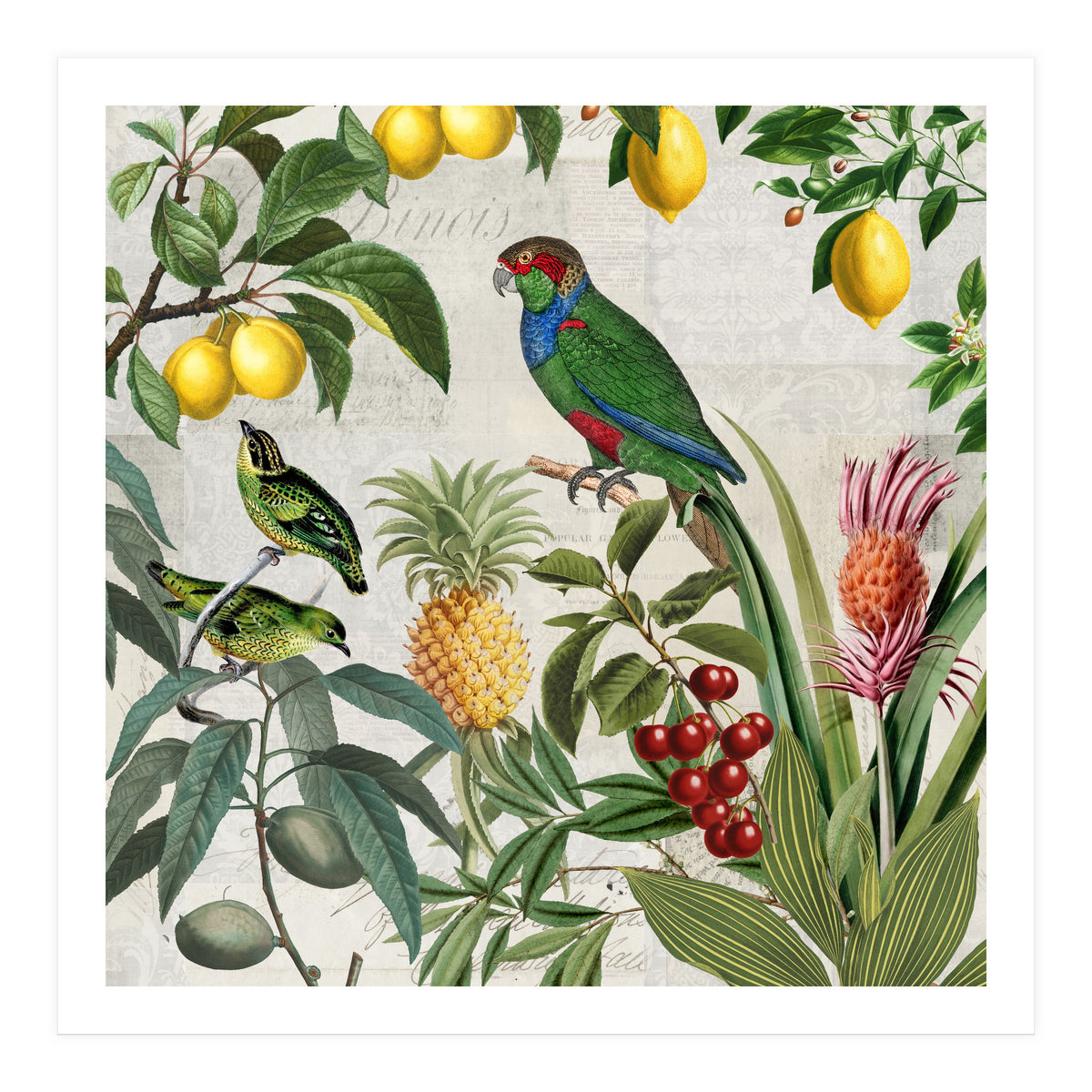 Fruit Paradise (Print Only)