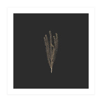 Delicate Fynbos Botanicals in Gold and Black - Square (Print Only)