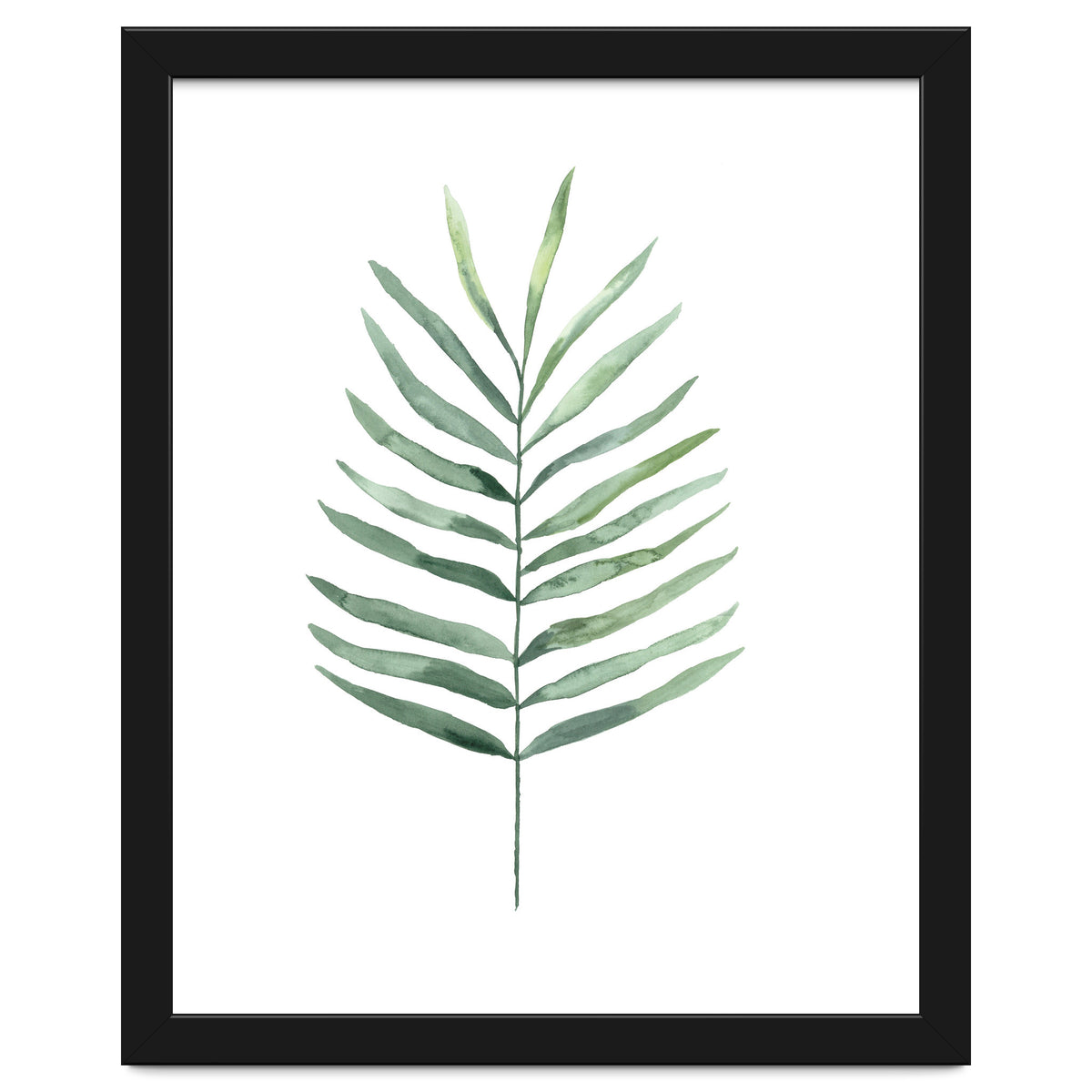 Botanical Illustration Fern