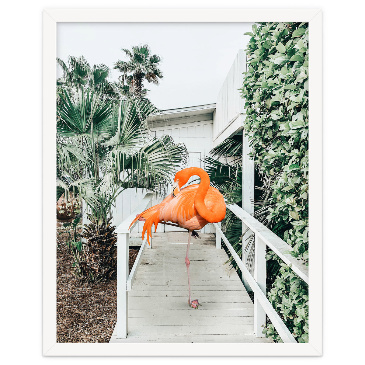 Flamingo Beach House