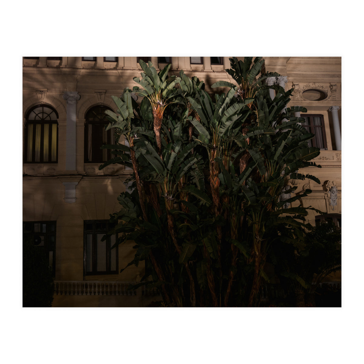 Malaga at Night (Print Only)