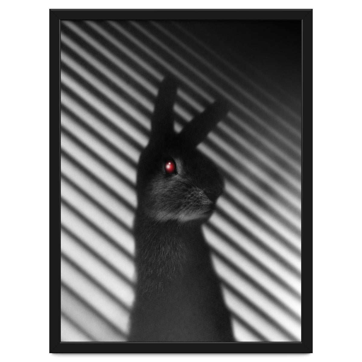 Shadow Bunny