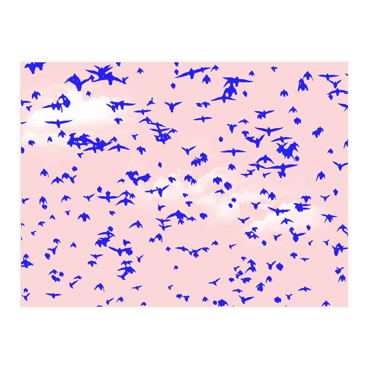 The Right To Fly (Print Only)