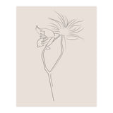 Flower 01 (Print Only) thumbnail