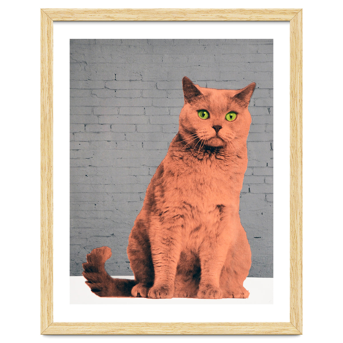 Everybody Wants To Be A Cat