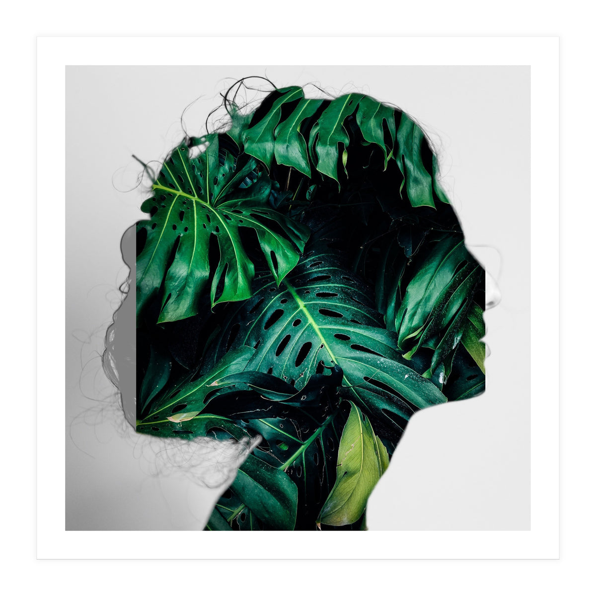 Crazy Woman 208 (Print Only)