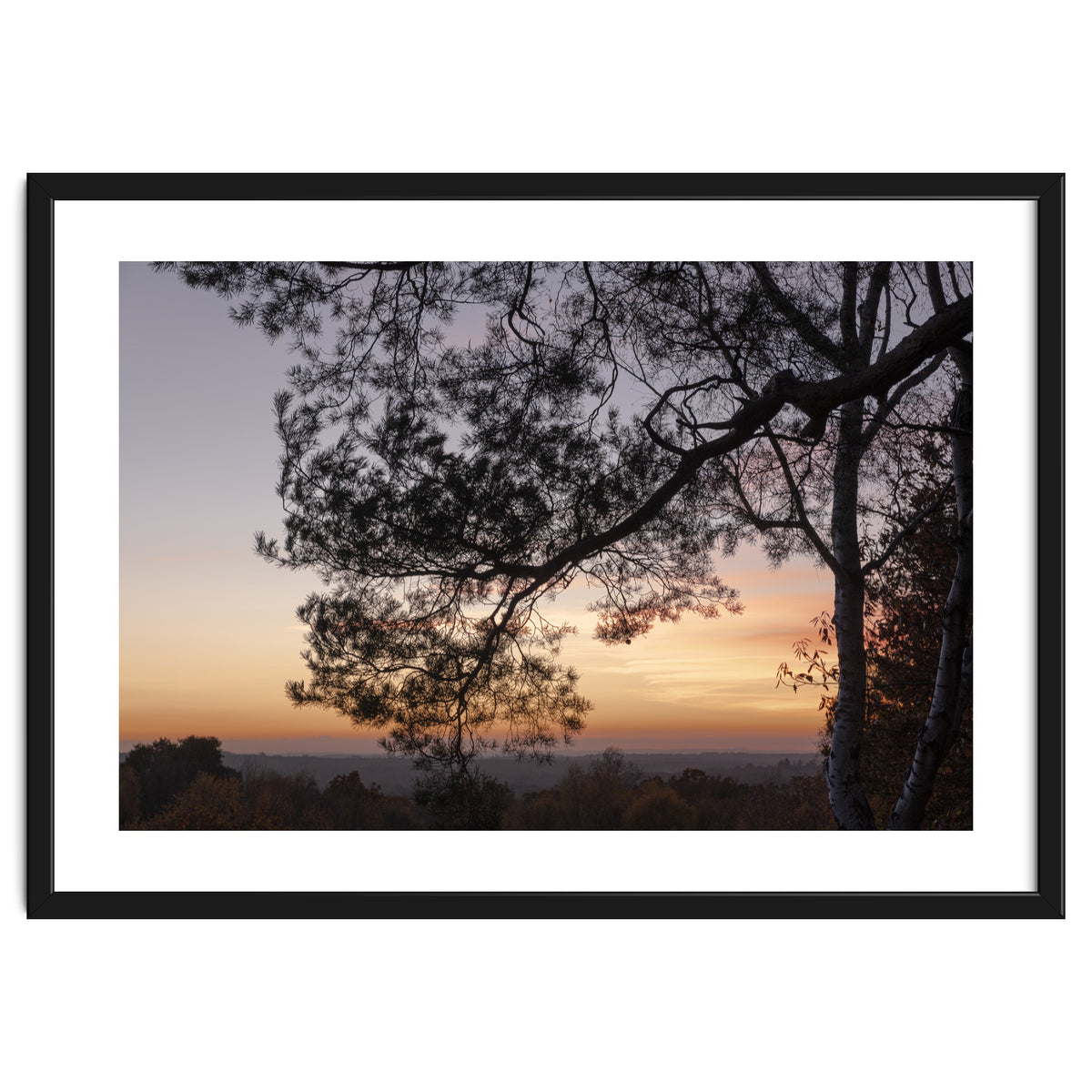 Sunset on Finchampstead Ridges - Berkshire