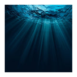 Nature (Print Only) thumbnail