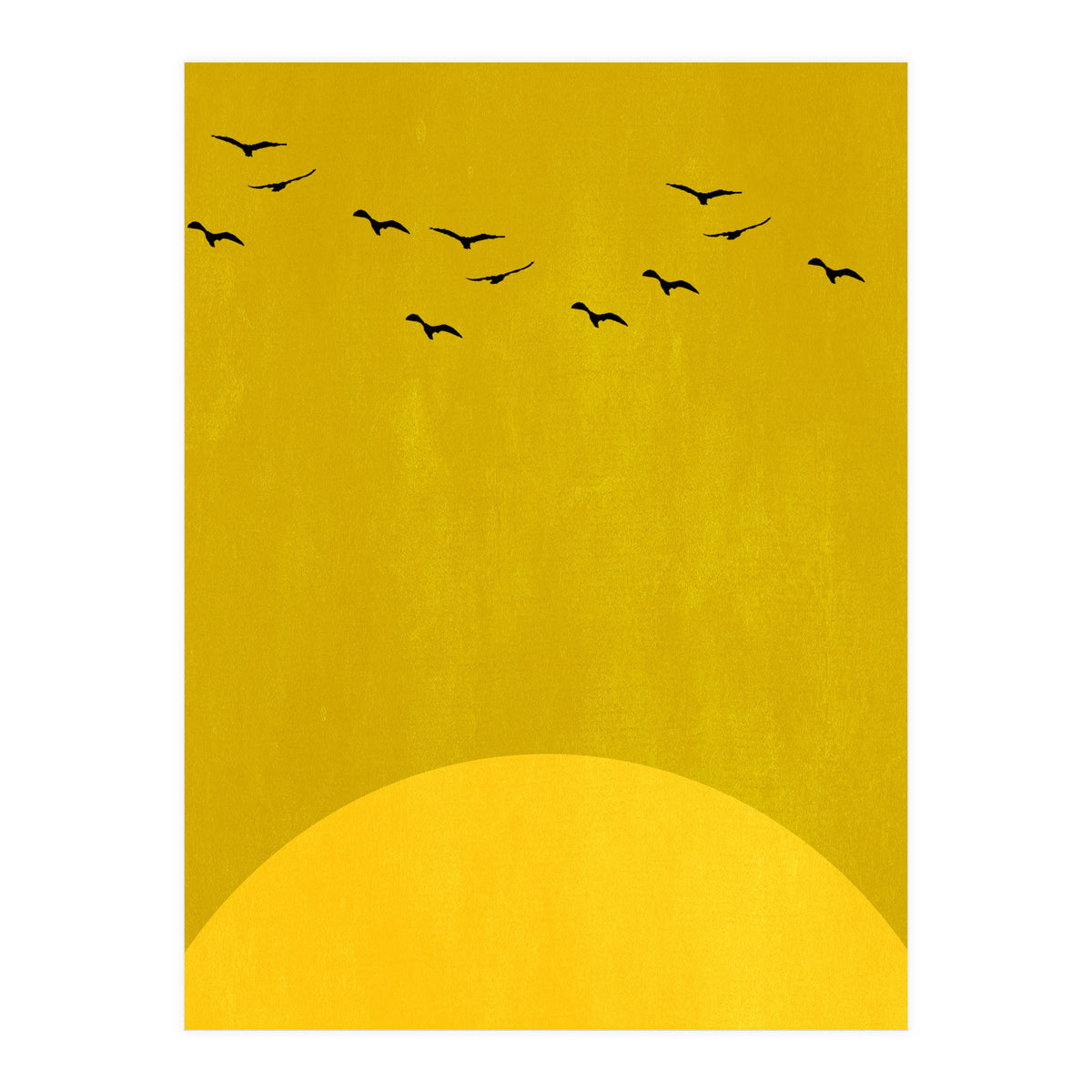 Sundance (Print Only)