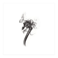 ORCHID (Print Only)