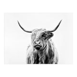 Portrait of a Highland Cow II (Print Only) thumbnail