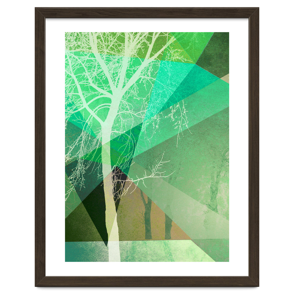 P22 B Trees And Triangles