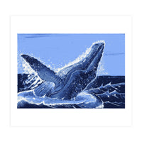 Humpback Whale Breaching  (Print Only)