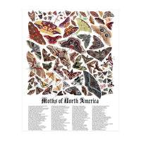 Moths of North America  (Print Only)