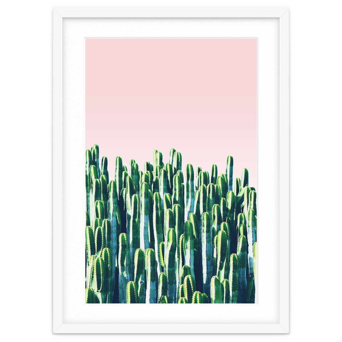 Cactus & Sunset I
