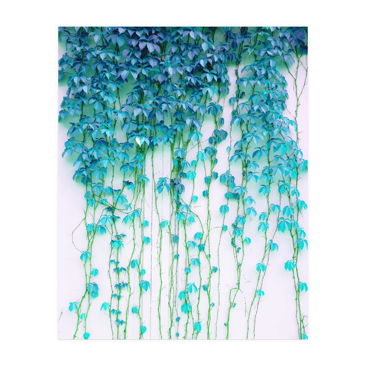 Average Absence, Botanical Minimal Nature Creepers Plants, Tropical Watercolor Bohemian Painting (Print Only)