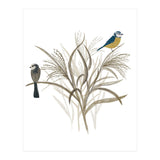 Garden Birds (Print Only) thumbnail