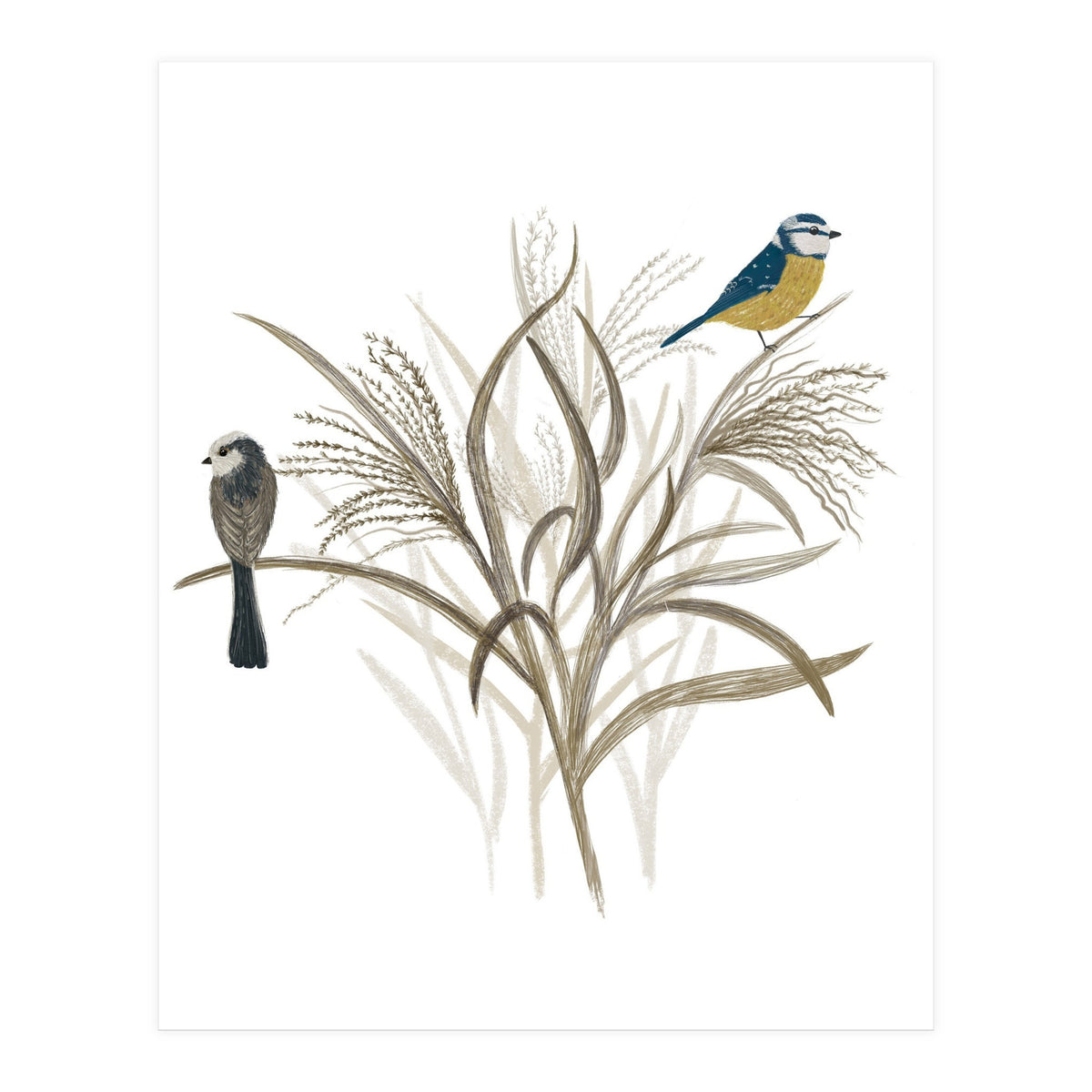 Garden Birds (Print Only)
