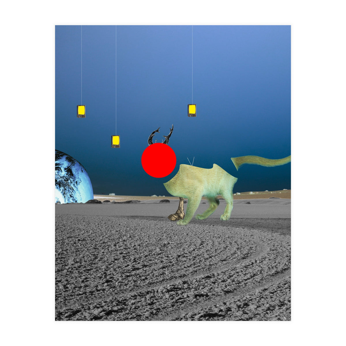 Le Cat? (Print Only)