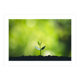 Plant in Nature (Print Only) thumbnail