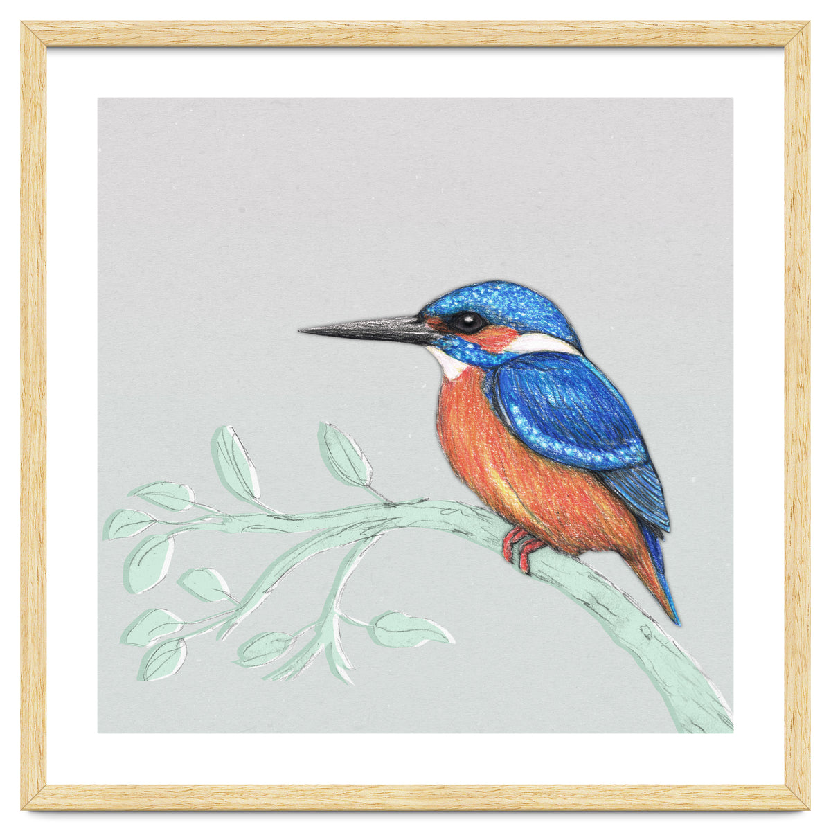 The kingfisher