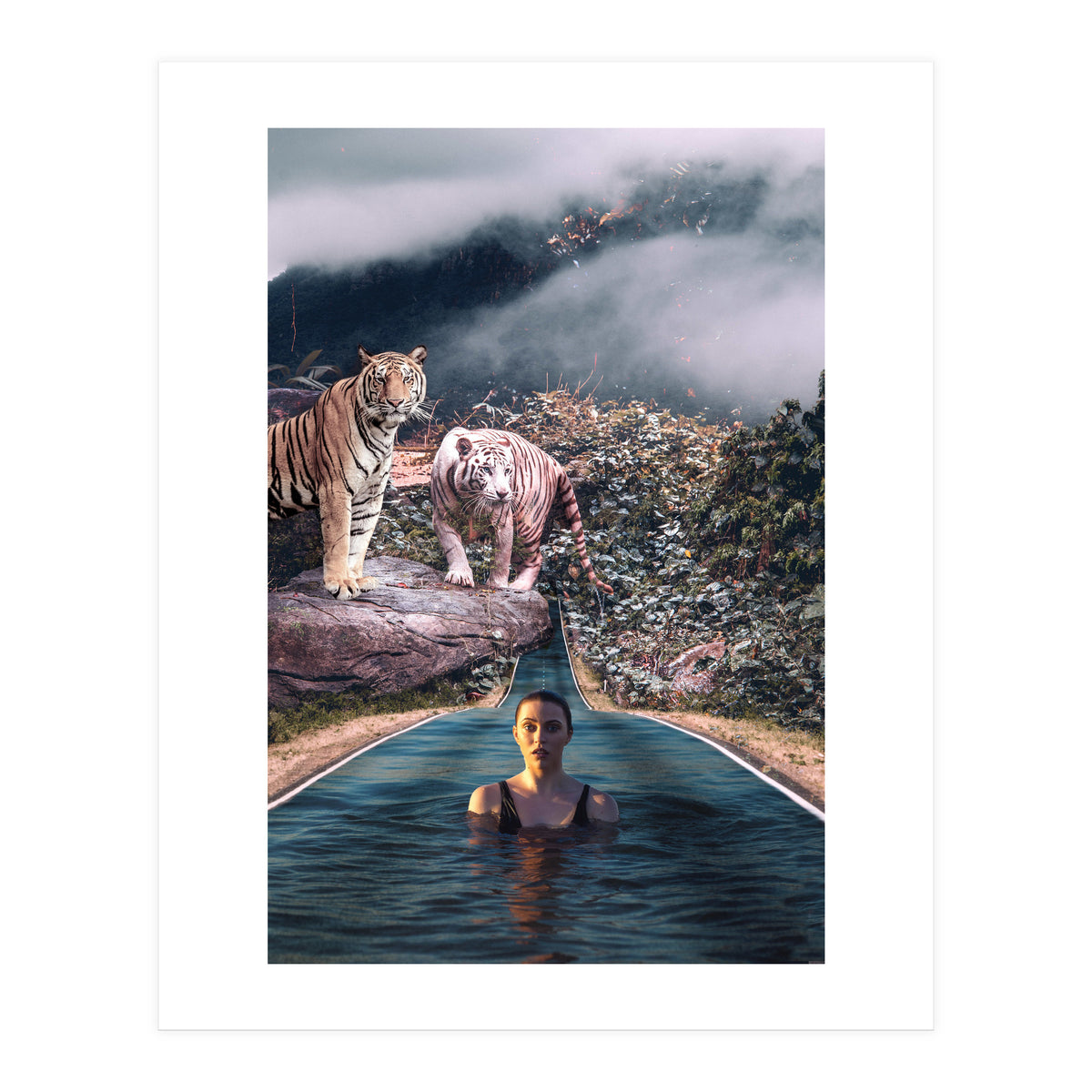 Infinite Pool To Tiger Jungle (Print Only)
