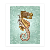 Hippocampus Camerarum (Print Only)