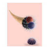 Cactus Cream 50x70 (Print Only) thumbnail